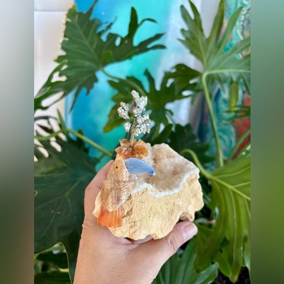 Tucan Carving On Calcite - Picture 3 of 7